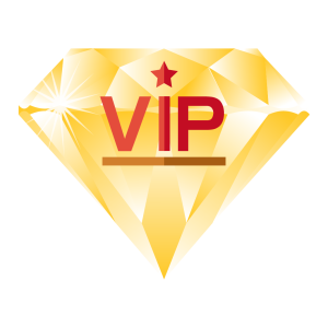 钻石会员